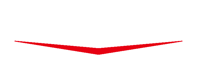 SKMEI